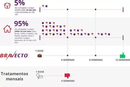 Bravecto 20 A 40 Kg Antipulgas Cães Cachorro Cão 1000mg - Imagem 3
