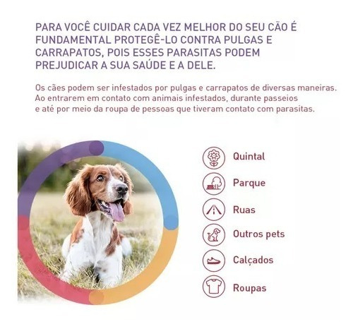 Bravecto Transdermal Cão Cães Cachorros Anti pulga E Carrapatos De 20 A 40kg - Imagem 9