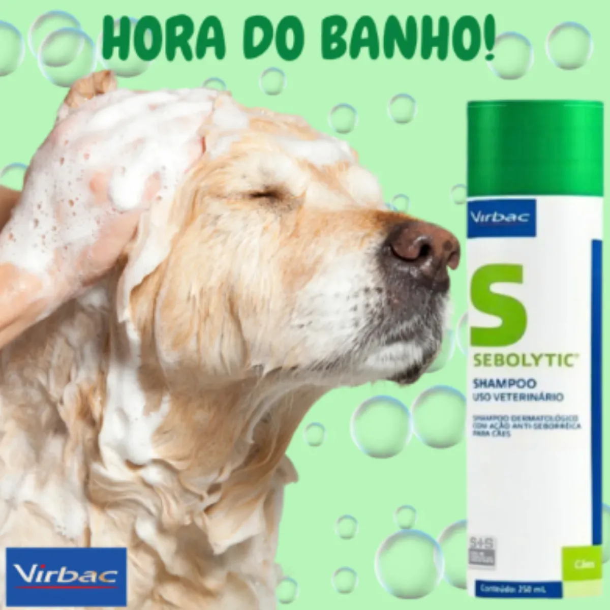 Shampoo Sebolytic 250ml Contra Seborreia Cão Cães Virbac Sem Fragrância - Imagem 5