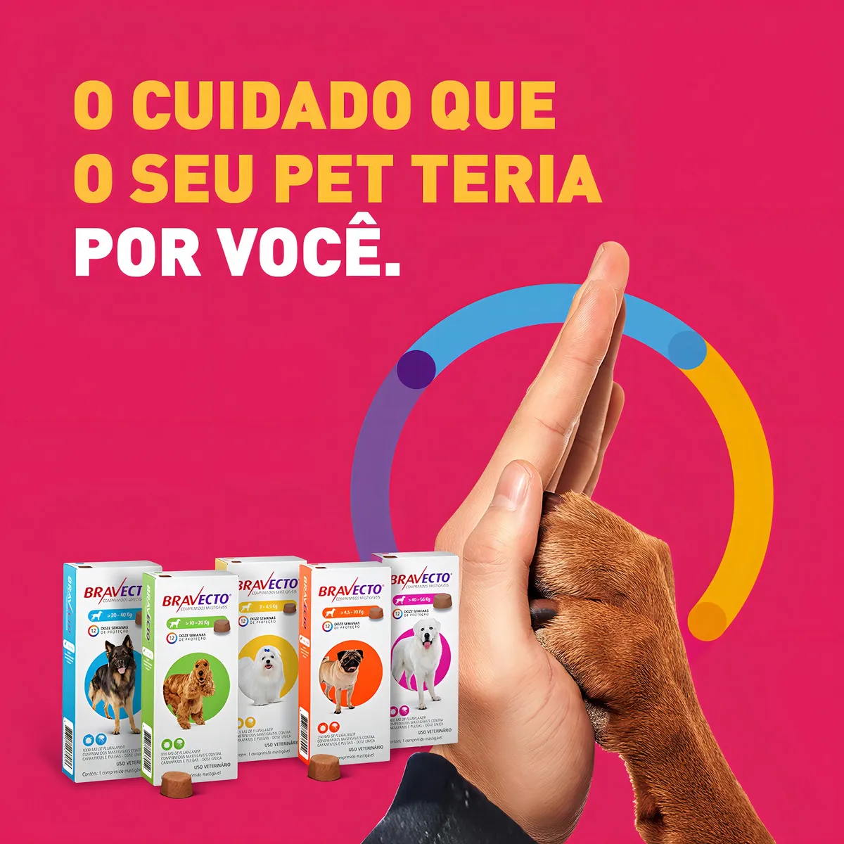 Bravecto Antipulgas E Carrapatos Cães De 40 A 56kg - Imagem 3