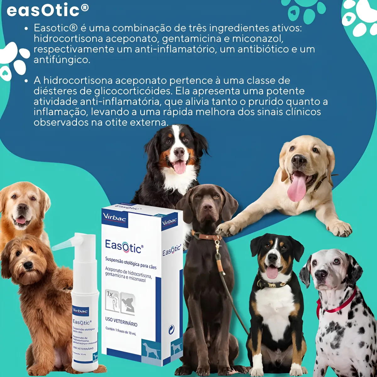 Easotic Otológico Otite 10ml Suspensão Cães Cachorros Virbac - Imagem 2