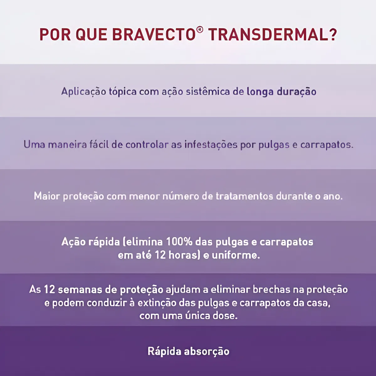 Bravecto Transdermal Cães Cão Antipulgas Carrapato 20 Á 40 Azul-aço - Imagem 4
