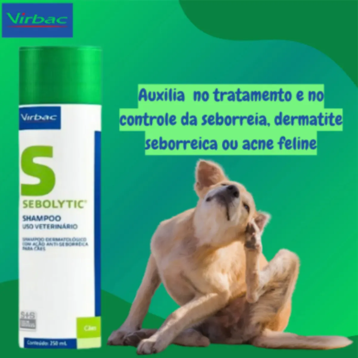 Shampoo Sebolytic 250ml Contra Seborreia Cão Cães Virbac Sem Fragrância - Imagem 4