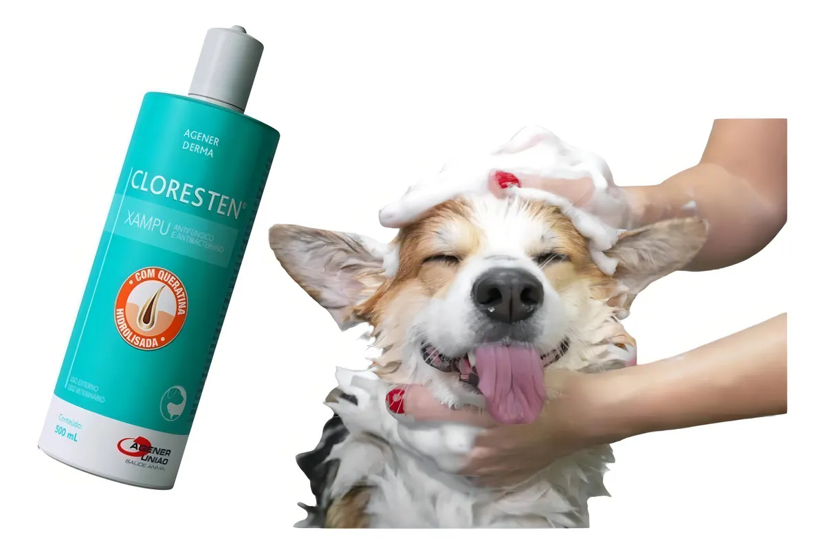 Shampoo Cloresten Antibacteriano Agener Cão Gato 500ml - Imagem 2