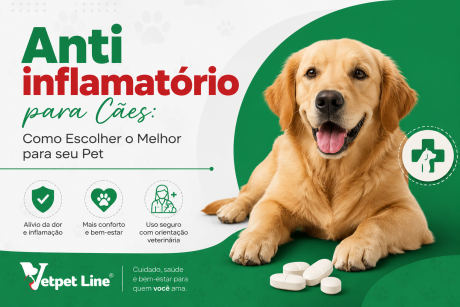 Arte informativa da Vetpet Line em tons de verde e branco sobre “Anti inflamatório para Cães: Como Escolher o Melhor para seu Pet”. À direita, há um cachorro golden retriever sorrindo e, na parte inferior, comprimidos. A imagem destaca benefícios como alívio da dor e inflamação, mais conforto e uso seguro com orientação veterinária.