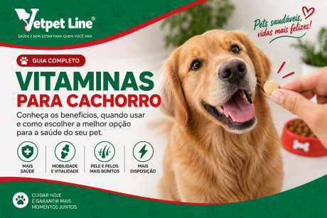 Arte da Vetpet Line sobre vitaminas para cachorro. A imagem mostra um cachorro dourado, feliz e com a língua para fora, recebendo um comprimido oferecido por uma pessoa. Ao lado, há um pote de ração vermelho. O texto destaca os benefícios das vitaminas para a saúde do pet, como mais vitalidade, mobilidade, pele e pelos mais bonitos e disposição.