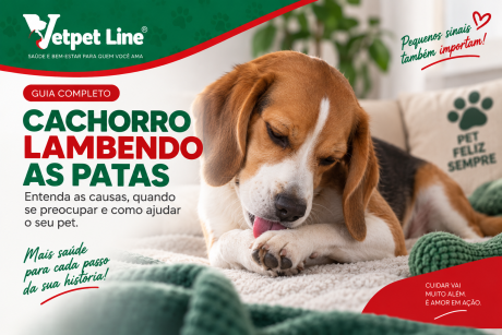 Arte da Vetpet Line sobre cachorro lambendo as patas. A imagem mostra um cachorro marrom e branco deitado sobre uma cama, lambendo uma das patas dianteiras. Ao lado, o texto apresenta um guia sobre as possíveis causas desse comportamento, quando é necessário se preocupar e como ajudar o pet, destacando a importância dos cuidados com a saúde.