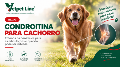 Arte da Vetpet Line sobre condroitina para cachorros. A imagem mostra um cachorro dourado caminhando em um gramado, acompanhado de uma ilustração de uma articulação óssea em destaque. O texto apresenta os benefícios da condroitina para as articulações e indicações de uso, destacando mobilidade, qualidade de vida e bem-estar do pet.Arte da Vetpet Line sobre condroitina para cachorros. A imagem mostra um cachorro dourado caminhando em um gramado, acompanhado de uma ilustração de uma articulação óssea em destaque. O texto apresenta os benefícios da condroitina para as articulações e indicações de uso, destacando mobilidade, qualidade de vida e bem-estar do pet.